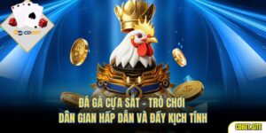 Đá Gà Cựa Sắt – Trò Chơi Dân Gian Hấp Dẫn Và Đầy Kịch Tính