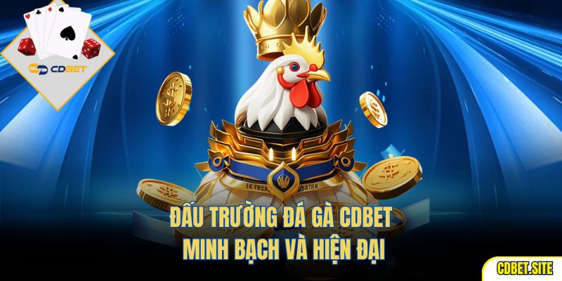 Đấu trường đá gà CDBET minh bạch và hiện đại