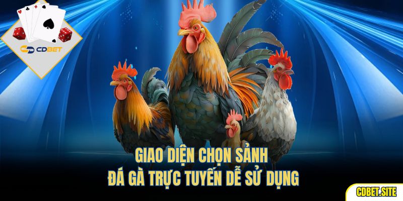 Giao diện chọn sảnh đá gà trực tuyến dễ sử dụng