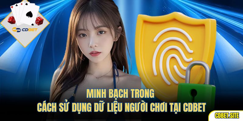 Minh bạch trong cách sử dụng dữ liệu người chơi tại CDBET