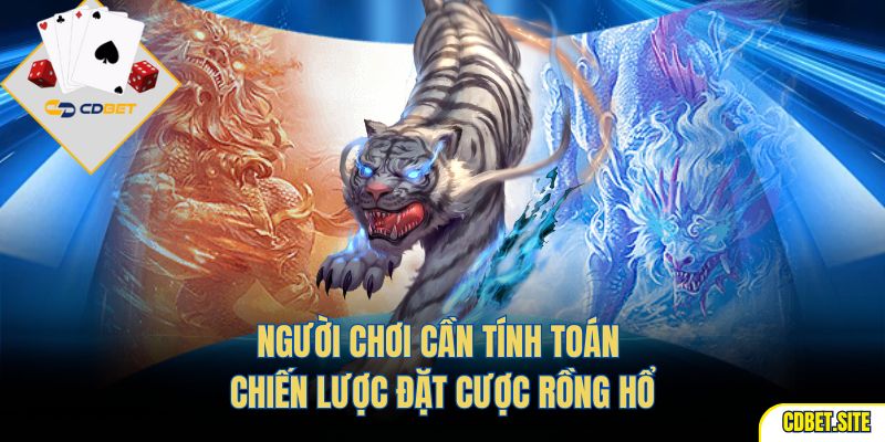 Người chơi cần tính toán chiến lược đặt cược Rồng Hổ