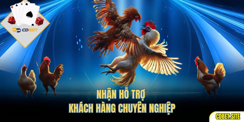 Nhận hỗ trợ khách hàng chuyên nghiệp
