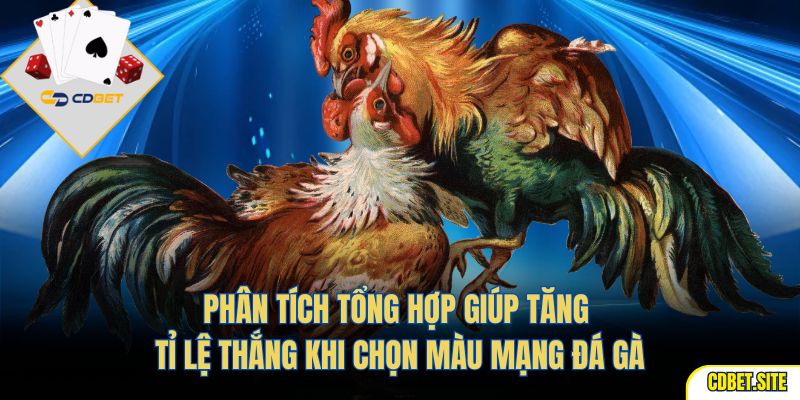 Phân tích tổng hợp giúp tăng tỉ lệ thắng khi chọn màu mạng đá gà