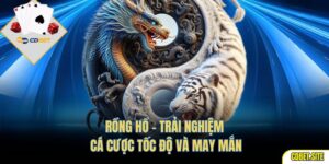 Rồng Hổ – Trải Nghiệm Cá Cược Tốc Độ Và May Mắn